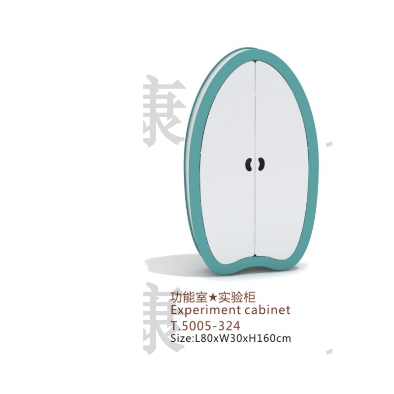  T.5005-324   功能室★實(shí)驗(yàn)柜  