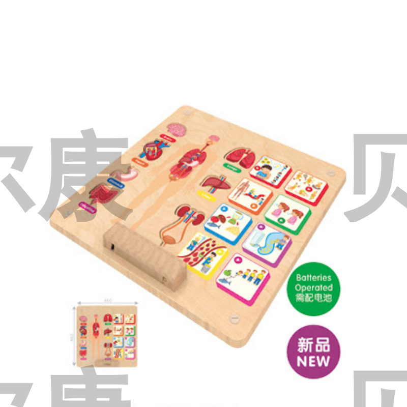 BEK 16401 人體科學-人體系統(tǒng)與器官